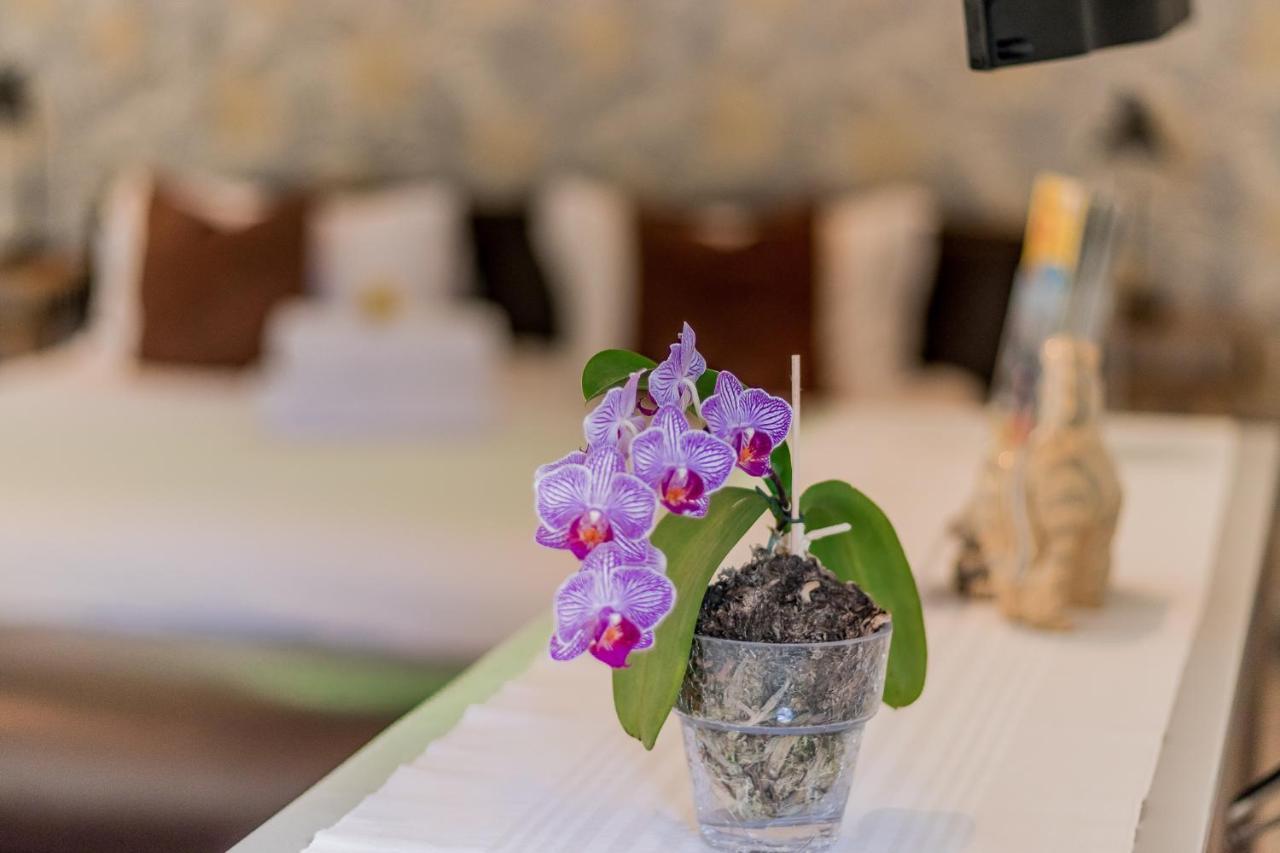 51 On Camps Bay Hotell Cape Town Eksteriør bilde