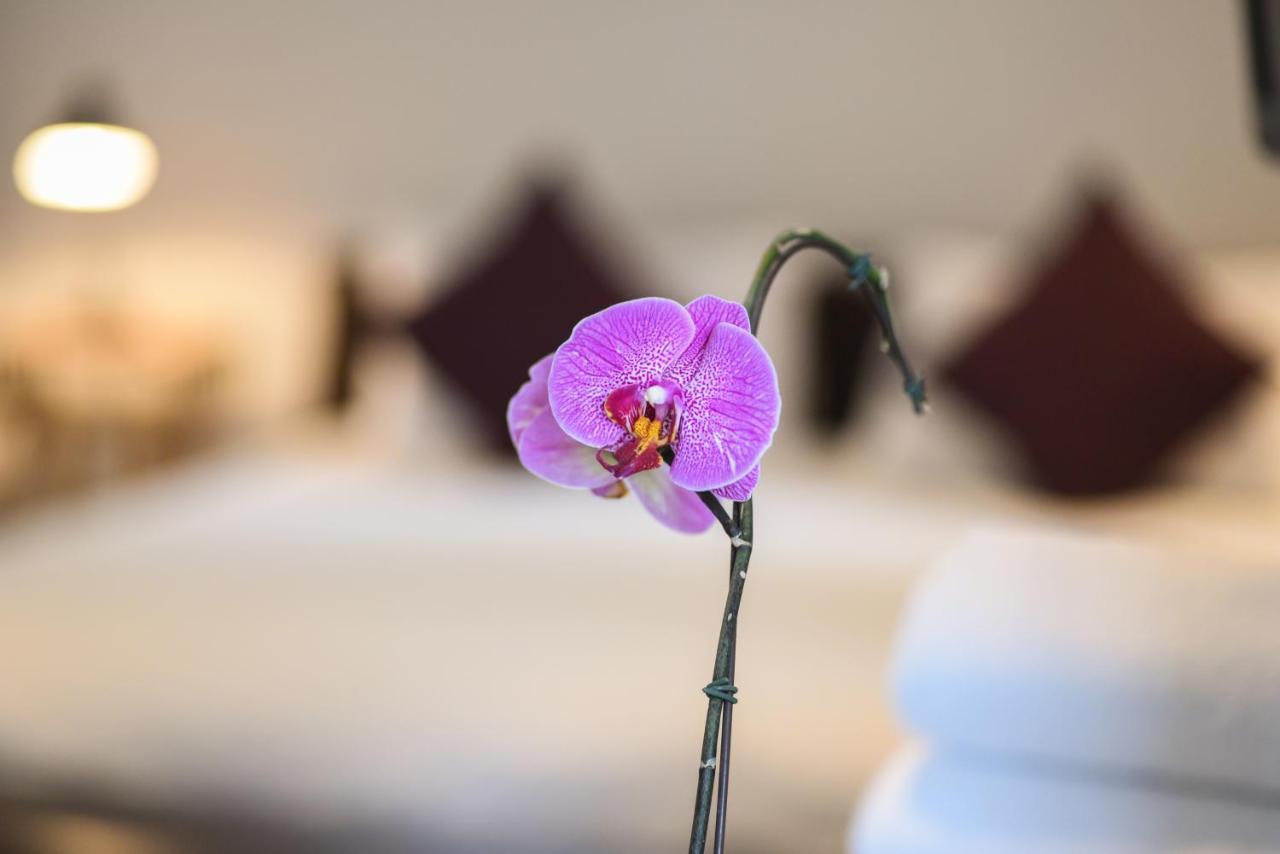 51 On Camps Bay Hotell Cape Town Eksteriør bilde